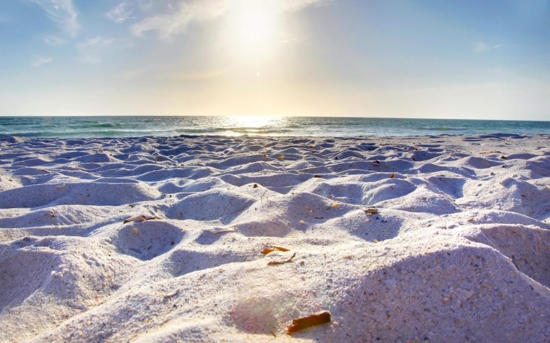 things to do in anna maria island florida