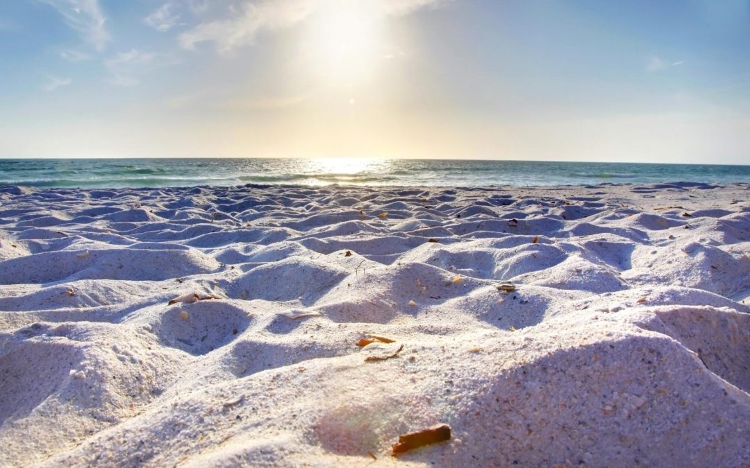 5 Fun Things to Do in Anna Maria Island, Florida